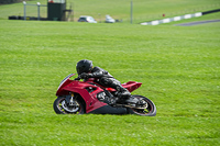Advanced Group Red Bikes